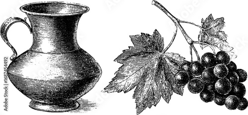 Vintage engraved illustration of amphora vase and grape vine set for retro design