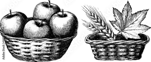 Vintage basket collection with hand drawn apples and leaves - engraved design for decor