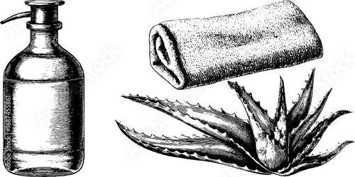 Vintage engraved set of body lotion bottle with aloe vera and towel for natural skincare design