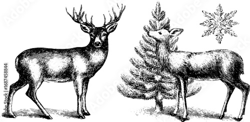 Engraved collection of deer and pine tree with snowflake for vintage design and nature themes
