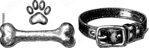 Vintage engraved illustration set of dog bone and collar for pet lovers and design
