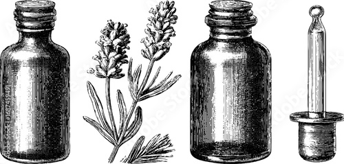 Essential oil bottles with lavender for aromatherapy, engraved illustration set vintage sketch design.
