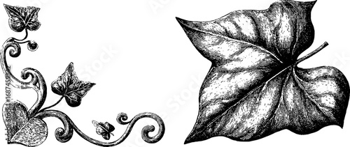 Vintage hand drawn engraved frame corner ornament collection for design