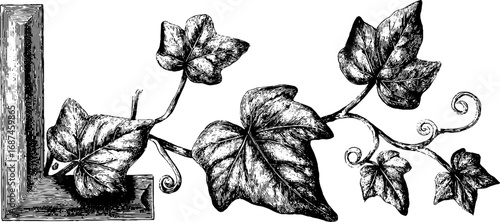 Vintage engraving of ornamental frame corner with leaf motif for design decoration