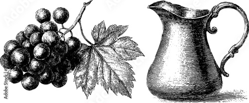 Vintage engraved illustration set of grapes and vine leaf with decorative pitcher for design and decoration
