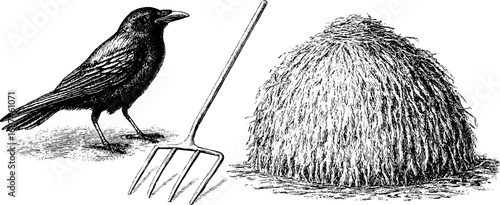 Vintage farming tools and crow: hay bale and pitchfork engraved sketch collection for rustic decor