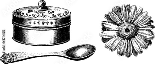 Engraved illustration set of herbal salve tin with chamomile flower and spoon for vintage design