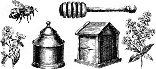 Vintage honey dipper and apiary elements set for retro design and decoration
