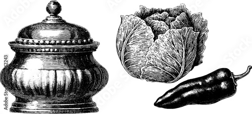 Engraved illustration set of kimchi jar and napa cabbage for korean cuisine designs