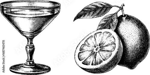 Engraved illustration set featuring martini glass and lemon for design and decor