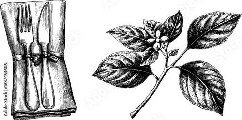 Vintage engraved illustration set of menu card and napkin with botanical design