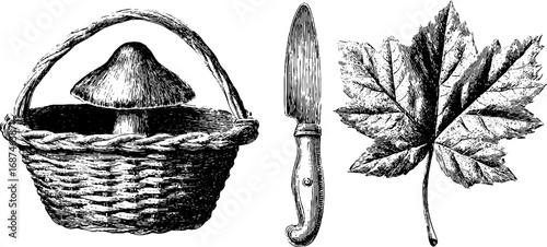 Engraved sketch set of mushroom basket, knife, and leaf design for craft projects