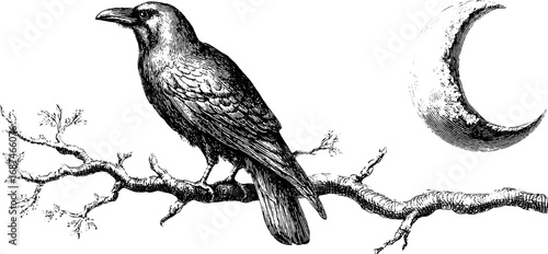 Engraved raven and branch set with crescent moon for retro design