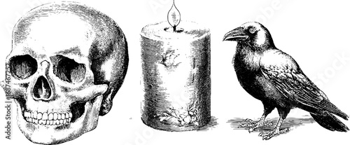 Vintage skull, candle, and raven sketch collection for halloween design and decor