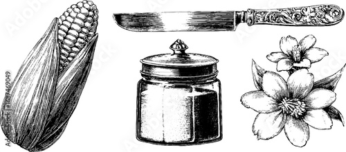 Engraved collection of sweet corn, knife, spice jar, and floral elements for design