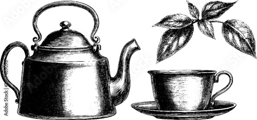 Engraved teapot cup and leaves illustration, vintage sketch hand drawn engraving design.
