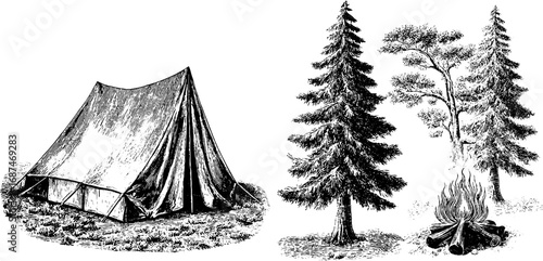Vintage engraved illustration set featuring tent and pine trees for outdoor adventure design