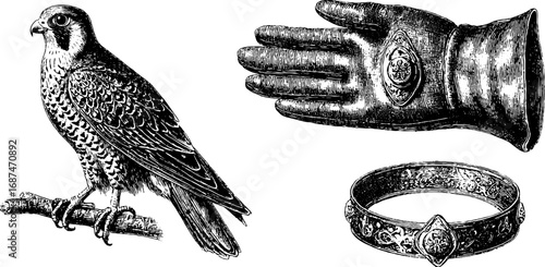 Falconry equipment and falcon in desert engraved retro set for design and decor