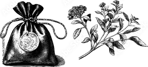 Herbal charm pouch set with engraved plants for natural healing design