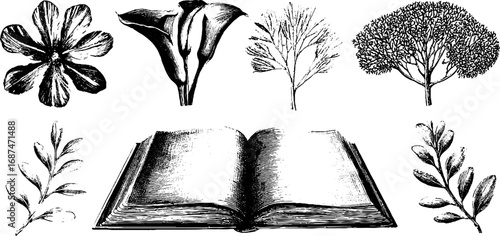 Vintage herbarium engraving set with pressed flowers and plants for botanical art and design