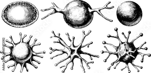 Intricate nanotechnology designs: engraved illustration set featuring nano structures