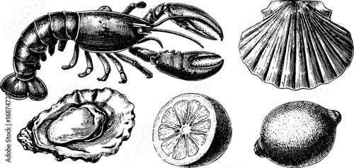 Gourmet seafood and citrus engraving set: lobster, shells, lemon for culinary design and labeling