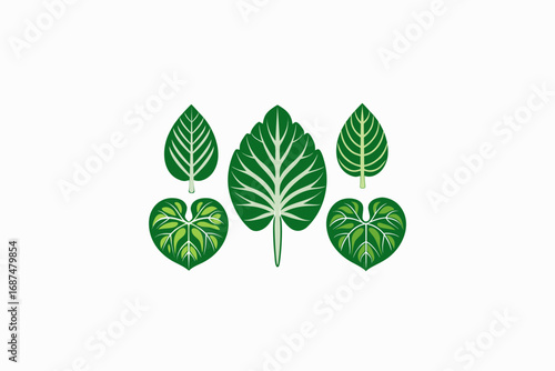 Set of taro leaves