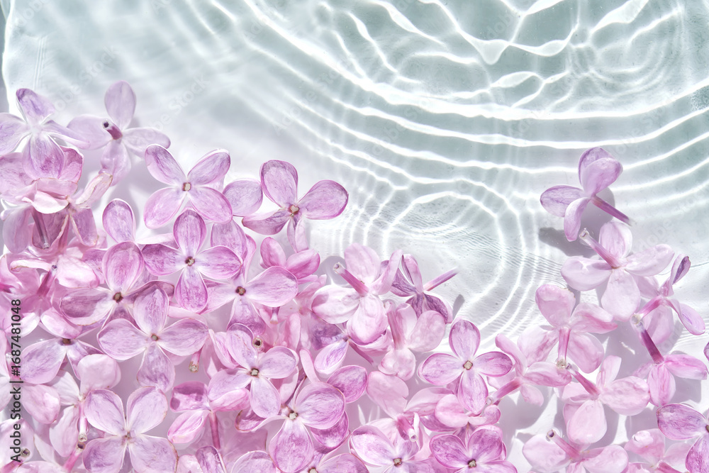 Obraz premium Abstract background with water and flowers. Space for the text.