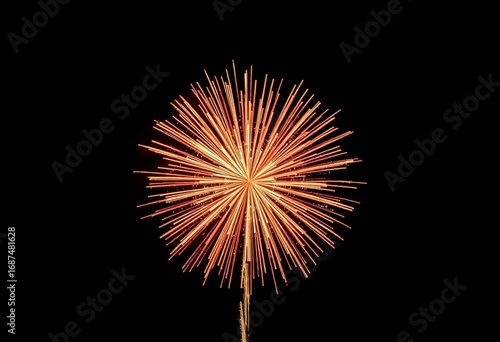 Fireworks Image On A Black Background