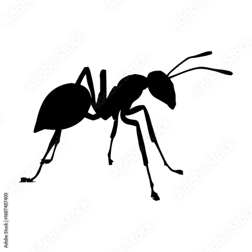 Detailed silhouette of an ant insect, perfect for educational resources, biology class visuals