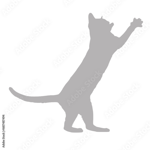 Grey cat silhouette reaching upwards against black background