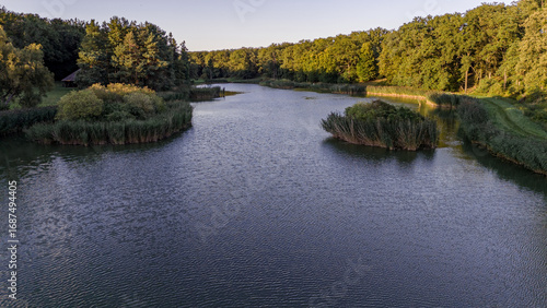 Lake in the park