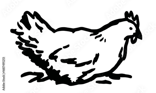 An outline vector illustration of a cage free chicken