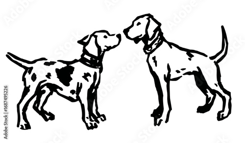 An outline vector illustration of a two dogs