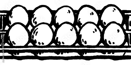 Cage free eco eggs on a market shells