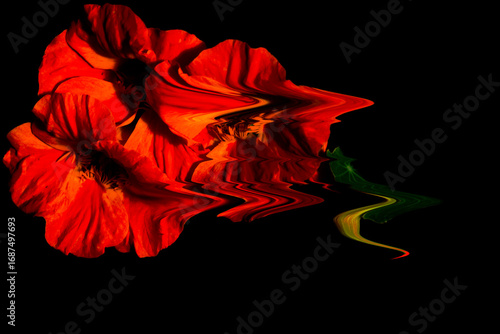 DRAMATIC VIVID FLORAL DIGITAL ART BACKGROUND 