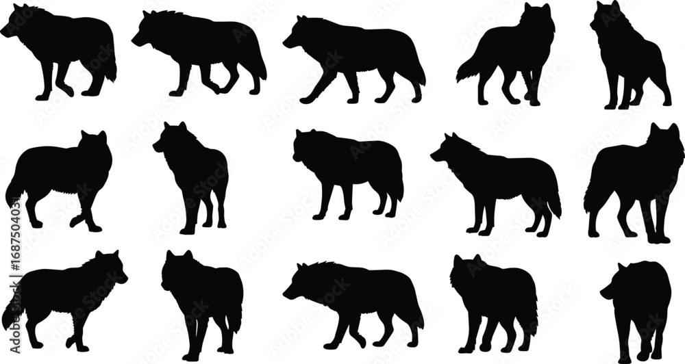 Naklejka premium Silhouette illustrations of wolves in various poses and movements, perfect for wildlife, nature, and animal-themed designs.