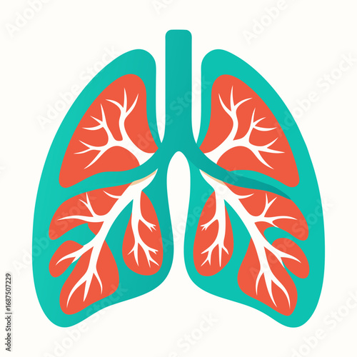 Anatomical illustration of healthy lungs, perfect for medical education and healthcare promotions