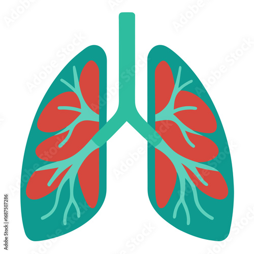 Anatomy of Healthy Lungs Illustration: Medical Education, Healthcare, Wellness, Science, and Health