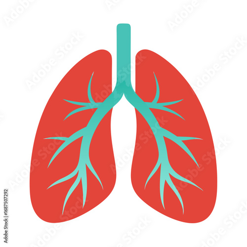 Stunning illustration of human lungs, perfect for medical, health, and wellness projects, respiratory health