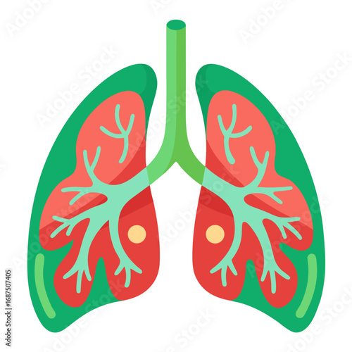Human lungs illustration depicting respiratory system, health, medicine, and anatomical science