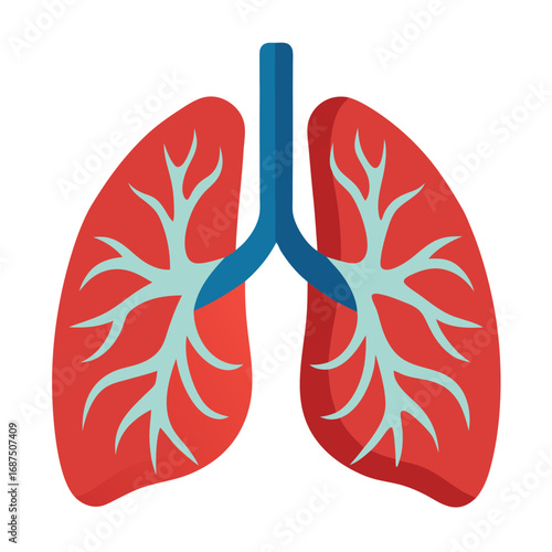 Human lungs illustration, perfect for medical, healthcare, educational materials, and health campaigns