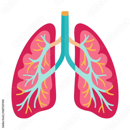 Bright and colorful anatomical lung illustration for educational purposes, healthcare, and medical design