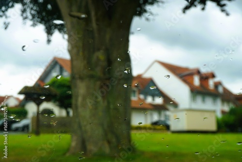 Kleinstadtpanorama bei Regen im Sommer mit dickem Baumstamm auf grüner Wiese vor Häuserreihe und Himmel am Nachmittag im Sommer