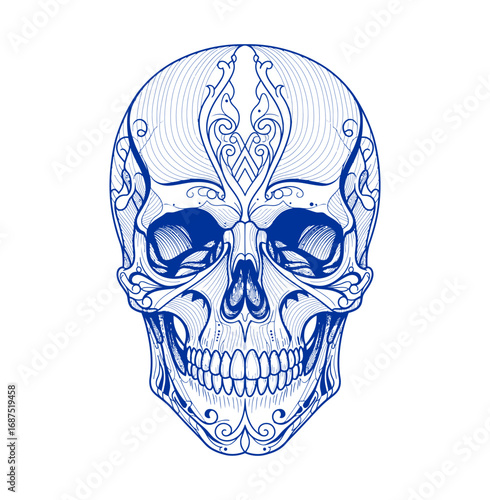 Intricate blue skull design with ornate scrollwork for artistic projects