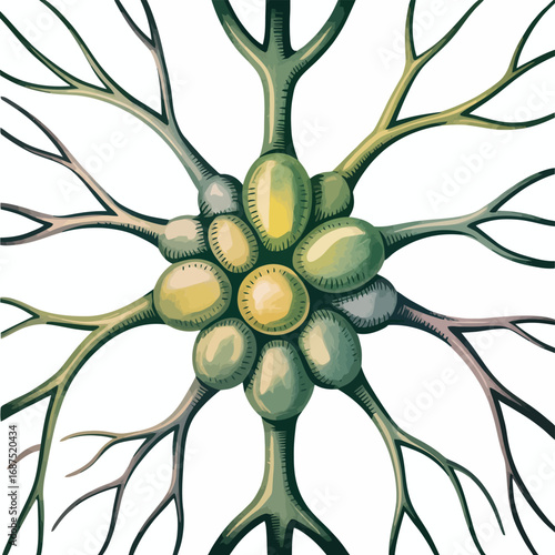 Abstract illustration of a neuron with branching dendrites and cell body