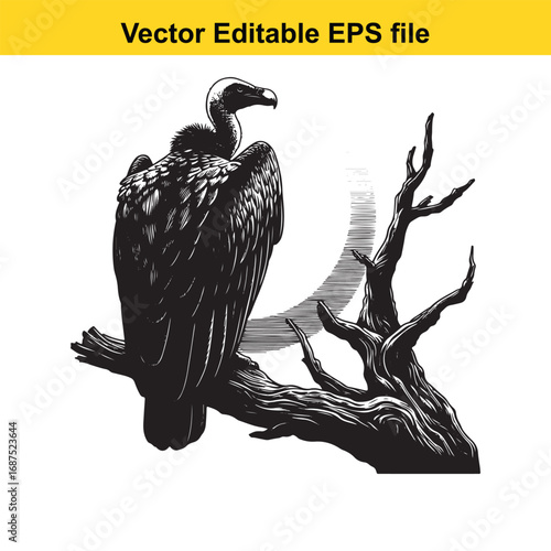  vulture perched on a dead tree branch, isolated on white background