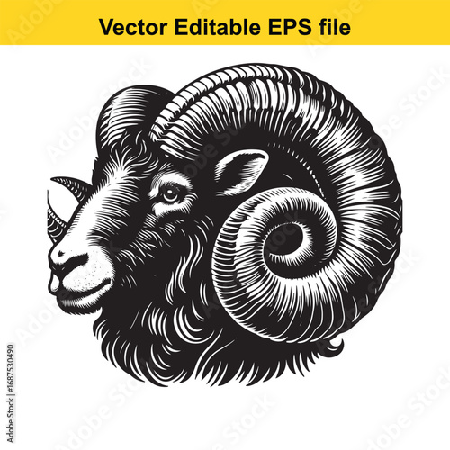  detailed illustration of a rams head isolated on white background