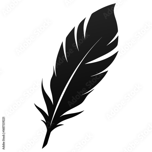 Elegant black silhouette of multiple feathers