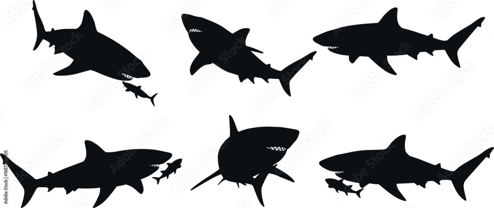 Fototapeta premium Silhouette sharks hunting fish, predator marine life illustration, ocean wildlife scene, dangerous sea animals, underwater hunting concept, aquatic predator behavior art